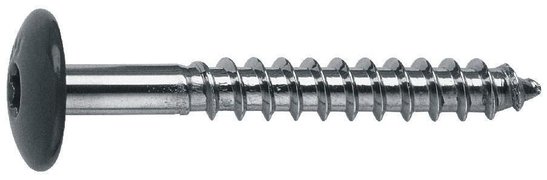 SFS - Vis à bois TW-S-D12 - 4,8x38mm - 100 Black (Global)